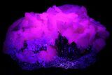 Manganoan Calcite with Cubic Pyrite - Highly Fluorescent! #184545-5